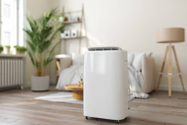 Best Ductless Mini-Split Systems in Carnation, WA